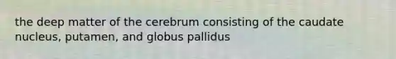 the deep matter of the cerebrum consisting of the caudate nucleus, putamen, and globus pallidus