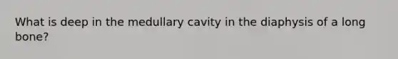 What is deep in the medullary cavity in the diaphysis of a long bone?