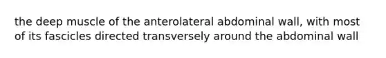 the deep muscle of the anterolateral abdominal wall, with most of its fascicles directed transversely around the abdominal wall