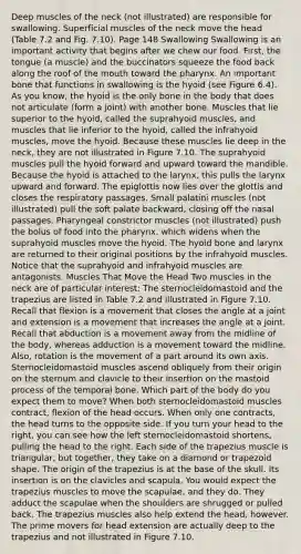 Deep muscles of the neck (not illustrated) are responsible for swallowing. Superficial muscles of the neck move the head (Table 7.2 and Fig. 7.10). Page 148 Swallowing Swallowing is an important activity that begins after we chew our food. First, the tongue (a muscle) and the buccinators squeeze the food back along the roof of the mouth toward the pharynx. An important bone that functions in swallowing is the hyoid (see Figure 6.4). As you know, the hyoid is the only bone in the body that does not articulate (form a joint) with another bone. Muscles that lie superior to the hyoid, called the suprahyoid muscles, and muscles that lie inferior to the hyoid, called the infrahyoid muscles, move the hyoid. Because these muscles lie deep in the neck, they are not illustrated in Figure 7.10. The suprahyoid muscles pull the hyoid forward and upward toward the mandible. Because the hyoid is attached to the larynx, this pulls the larynx upward and forward. The epiglottis now lies over the glottis and closes the respiratory passages. Small palatini muscles (not illustrated) pull the soft palate backward, closing off the nasal passages. Pharyngeal constrictor muscles (not illustrated) push the bolus of food into the pharynx, which widens when the suprahyoid muscles move the hyoid. The hyoid bone and larynx are returned to their original positions by the infrahyoid muscles. Notice that the suprahyoid and infrahyoid muscles are antagonists. Muscles That Move the Head Two muscles in the neck are of particular interest: The sternocleidomastoid and the trapezius are listed in Table 7.2 and illustrated in Figure 7.10. Recall that flexion is a movement that closes the angle at a joint and extension is a movement that increases the angle at a joint. Recall that abduction is a movement away from the midline of the body, whereas adduction is a movement toward the midline. Also, rotation is the movement of a part around its own axis. Sternocleidomastoid muscles ascend obliquely from their origin on the sternum and clavicle to their insertion on the mastoid process of the temporal bone. Which part of the body do you expect them to move? When both sternocleidomastoid muscles contract, flexion of the head occurs. When only one contracts, the head turns to the opposite side. If you turn your head to the right, you can see how the left sternocleidomastoid shortens, pulling the head to the right. Each side of the trapezius muscle is triangular, but together, they take on a diamond or trapezoid shape. The origin of the trapezius is at the base of the skull. Its insertion is on the clavicles and scapula. You would expect the trapezius muscles to move the scapulae, and they do. They adduct the scapulae when the shoulders are shrugged or pulled back. The trapezius muscles also help extend the head, however. The prime movers for head extension are actually deep to the trapezius and not illustrated in Figure 7.10.