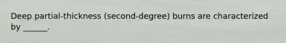 Deep partial-thickness (second-degree) burns are characterized by ______.