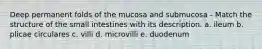 Deep permanent folds of the mucosa and submucosa - Match the structure of the small intestines with its description. a. ileum b. plicae circulares c. villi d. microvilli e. duodenum