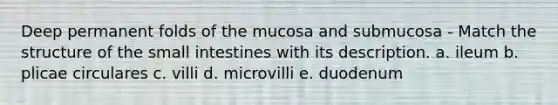 Deep permanent folds of the mucosa and submucosa - Match the structure of the small intestines with its description. a. ileum b. plicae circulares c. villi d. microvilli e. duodenum