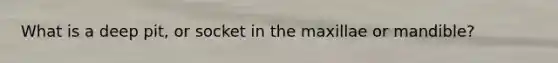 What is a deep pit, or socket in the maxillae or mandible?