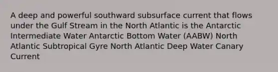 A deep and powerful southward subsurface current that flows under the Gulf Stream in the North Atlantic is the Antarctic Intermediate Water Antarctic Bottom Water (AABW) North Atlantic Subtropical Gyre North Atlantic Deep Water Canary Current