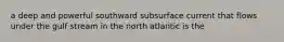 a deep and powerful southward subsurface current that flows under the gulf stream in the north atlantic is the