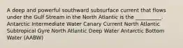 A deep and powerful southward subsurface current that flows under the Gulf Stream in the North Atlantic is the __________. Antarctic Intermediate Water Canary Current North Atlantic Subtropical Gyre North Atlantic Deep Water Antarctic Bottom Water (AABW)