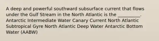 A deep and powerful southward subsurface current that flows under the Gulf Stream in the North Atlantic is the __________. Antarctic Intermediate Water Canary Current North Atlantic Subtropical Gyre North Atlantic Deep Water Antarctic Bottom Water (AABW)