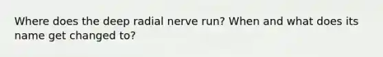 Where does the deep radial nerve run? When and what does its name get changed to?