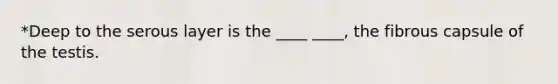 *Deep to the serous layer is the ____ ____, the fibrous capsule of the testis.