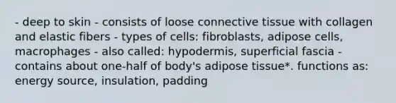 - deep to skin - consists of loose connective tissue with collagen and elastic fibers - types of cells: fibroblasts, adipose cells, macrophages - also called: hypodermis, superficial fascia - contains about one-half of body's adipose tissue*. functions as: energy source, insulation, padding