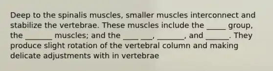 Deep to the spinalis muscles, smaller muscles interconnect and stabilize the vertebrae. These muscles include the _____ group, the _______ muscles; and the ____ ___, _______, and ______. They produce slight rotation of the vertebral column and making delicate adjustments with in vertebrae