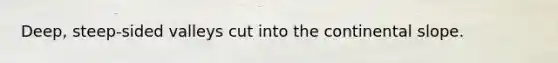 Deep, steep-sided valleys cut into the continental slope.
