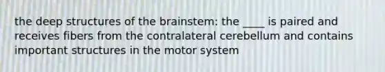 the deep structures of the brainstem: the ____ is paired and receives fibers from the contralateral cerebellum and contains important structures in the motor system