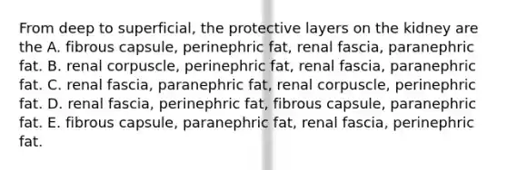 From deep to superficial, the protective layers on the kidney are the A. fibrous capsule, perinephric fat, renal fascia, paranephric fat. B. renal corpuscle, perinephric fat, renal fascia, paranephric fat. C. renal fascia, paranephric fat, renal corpuscle, perinephric fat. D. renal fascia, perinephric fat, fibrous capsule, paranephric fat. E. fibrous capsule, paranephric fat, renal fascia, perinephric fat.