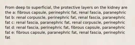 From deep to superficial, the protective layers on the kidney are the a: fibrous capsule, perinephric fat, renal fascia, paranephric fat b: renal corpuscle, perinephric fat, renal fascia, paranephric fat c: renal fascia, paranephric fat, renal corpuscle, perinephric fat d: renal fascia, perinephric fat, fibrous capsule, paranephric fat e: fibrous capsule, paranephric fat, renal fascia, perinephric fat