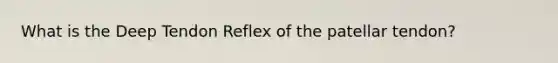 What is the Deep Tendon Reflex of the patellar tendon?