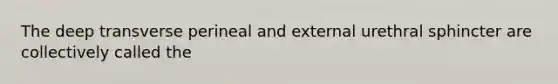 The deep transverse perineal and external urethral sphincter are collectively called the