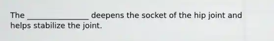 The ________________ deepens the socket of the hip joint and helps stabilize the joint.