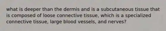 what is deeper than the dermis and is a subcutaneous tissue that is composed of loose connective tissue, which is a specialized connective tissue, large blood vessels, and nerves?