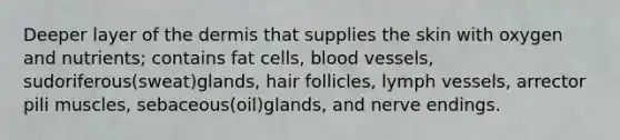 Deeper layer of the dermis that supplies the skin with oxygen and nutrients; contains fat cells, blood vessels, sudoriferous(sweat)glands, hair follicles, lymph vessels, arrector pili muscles, sebaceous(oil)glands, and nerve endings.