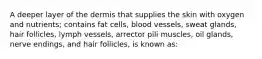 A deeper layer of the dermis that supplies the skin with oxygen and nutrients; contains fat cells, blood vessels, sweat glands, hair follicles, lymph vessels, arrector pili muscles, oil glands, nerve endings, and hair follicles, is known as: