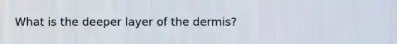 What is the deeper layer of the dermis?