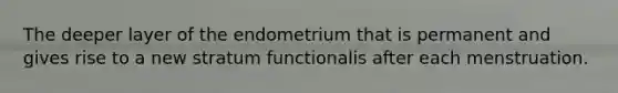 The deeper layer of the endometrium that is permanent and gives rise to a new stratum functionalis after each menstruation.