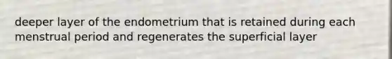 deeper layer of the endometrium that is retained during each menstrual period and regenerates the superficial layer