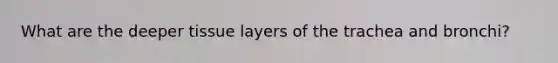 What are the deeper tissue layers of the trachea and bronchi?