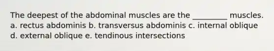 The deepest of the abdominal muscles are the _________ muscles. a. rectus abdominis b. transversus abdominis c. internal oblique d. external oblique e. tendinous intersections