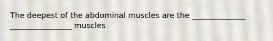 The deepest of the abdominal muscles are the ______________ ________________ muscles