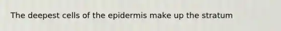 The deepest cells of <a href='https://www.questionai.com/knowledge/kBFgQMpq6s-the-epidermis' class='anchor-knowledge'>the epidermis</a> make up the stratum