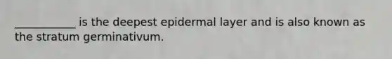 ___________ is the deepest epidermal layer and is also known as the stratum germinativum.