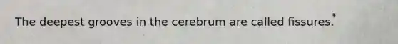The deepest grooves in the cerebrum are called fissures.