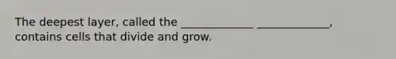 The deepest layer, called the _____________ _____________, contains cells that divide and grow.