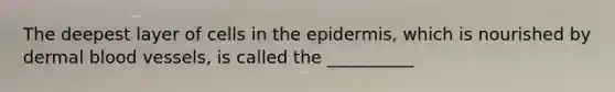 The deepest layer of cells in the epidermis, which is nourished by dermal blood vessels, is called the __________