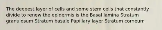 The deepest layer of cells and some stem cells that constantly divide to renew the epidermis is the Basal lamina Stratum granulosum Stratum basale Papillary layer Stratum corneum