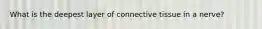 What is the deepest layer of connective tissue in a nerve?