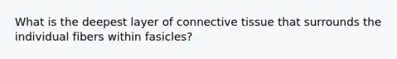 What is the deepest layer of connective tissue that surrounds the individual fibers within fasicles?