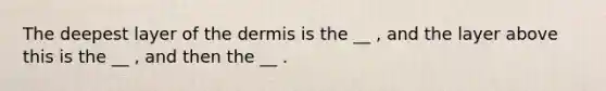 The deepest layer of the dermis is the __ , and the layer above this is the __ , and then the __ .