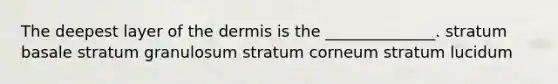 The deepest layer of the dermis is the ______________. stratum basale stratum granulosum stratum corneum stratum lucidum