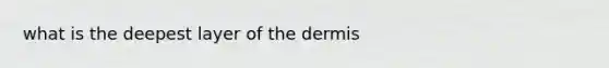 what is the deepest layer of the dermis