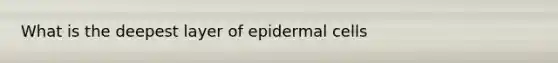 What is the deepest layer of epidermal cells