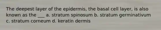 The deepest layer of the epidermis, the basal cell layer, is also known as the ___ a. stratum spinosum b. stratum germinativum c. stratum corneum d. keratin dermis