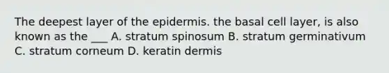 The deepest layer of the epidermis. the basal cell layer, is also known as the ___ A. stratum spinosum B. stratum germinativum C. stratum corneum D. keratin dermis