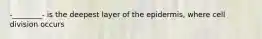 -________- is the deepest layer of the epidermis, where cell division occurs