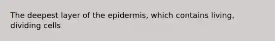 The deepest layer of <a href='https://www.questionai.com/knowledge/kBFgQMpq6s-the-epidermis' class='anchor-knowledge'>the epidermis</a>, which contains living, dividing cells