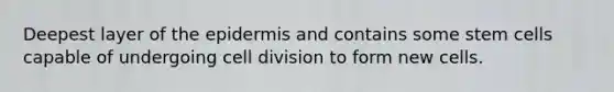 Deepest layer of the epidermis and contains some stem cells capable of undergoing cell division to form new cells.