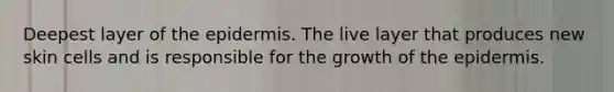 Deepest layer of the epidermis. The live layer that produces new skin cells and is responsible for the growth of the epidermis.